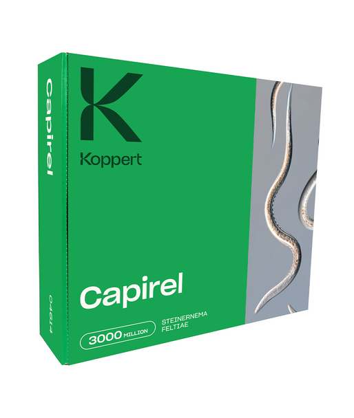 Capirel_Koppert_Biological_Systems__1_.jpg